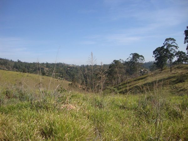 Sitio sem bem feitorias/campo limpo paulista -sp/fazenda santa Paula/cód.6251 - Imagem 6