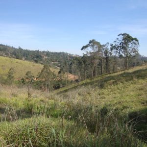 Sitio sem bem feitorias/campo limpo paulista -sp/fazenda santa Paula/cód.6251
