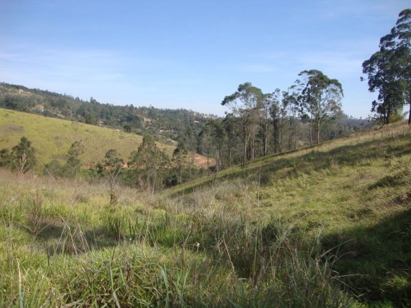 Sitio sem bem feitorias/campo limpo paulista -sp/fazenda santa Paula/cód.6251