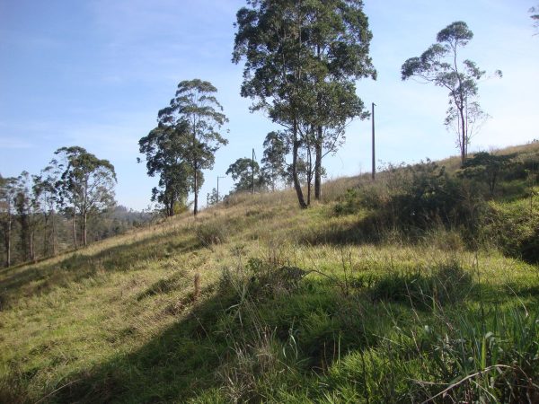 Sitio sem bem feitorias/campo limpo paulista -sp/fazenda santa Paula/cód.6251 - Imagem 11