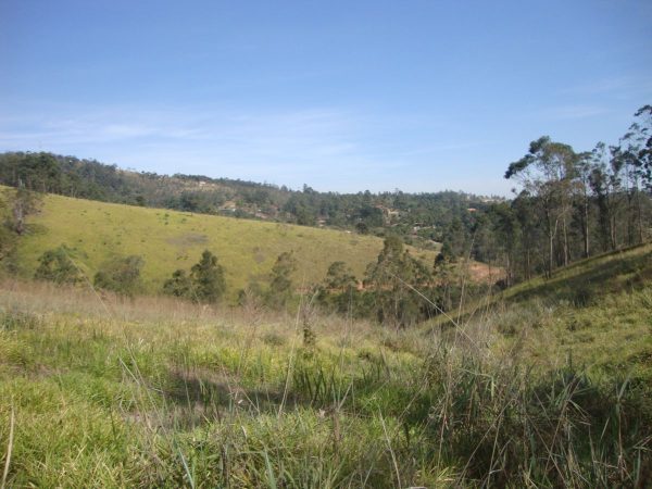 Sitio sem bem feitorias/campo limpo paulista -sp/fazenda santa Paula/cód.6251 - Imagem 10