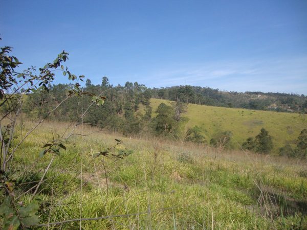 Sitio sem bem feitorias/campo limpo paulista -sp/fazenda santa Paula/cód.6251 - Imagem 9