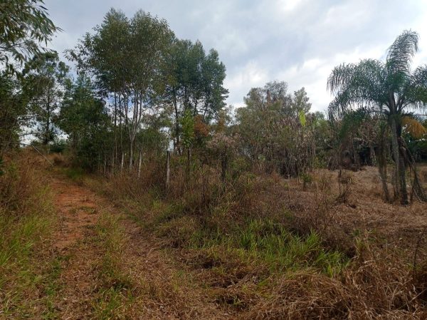 chácara sem bem feitorias/Atibaia/bairro>iara/cód>3583 - Imagem 6