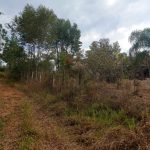 chácaras sem bem feitorias/Atibaia/bairro>iara/lotes>159 e 160/R$ 75.000,00,cada,cód>3583