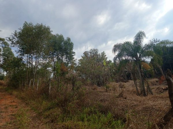 chácara sem bem feitorias/Atibaia/bairro>iara/cód>3583 - Imagem 4