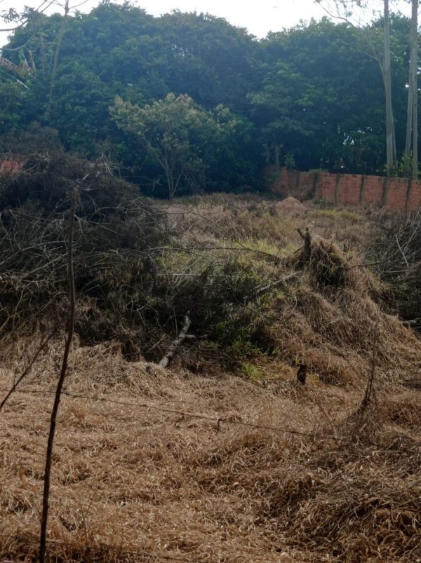 chácara sem bem feitorias/Atibaia/bairro>iara/cód>3583 - Imagem 3