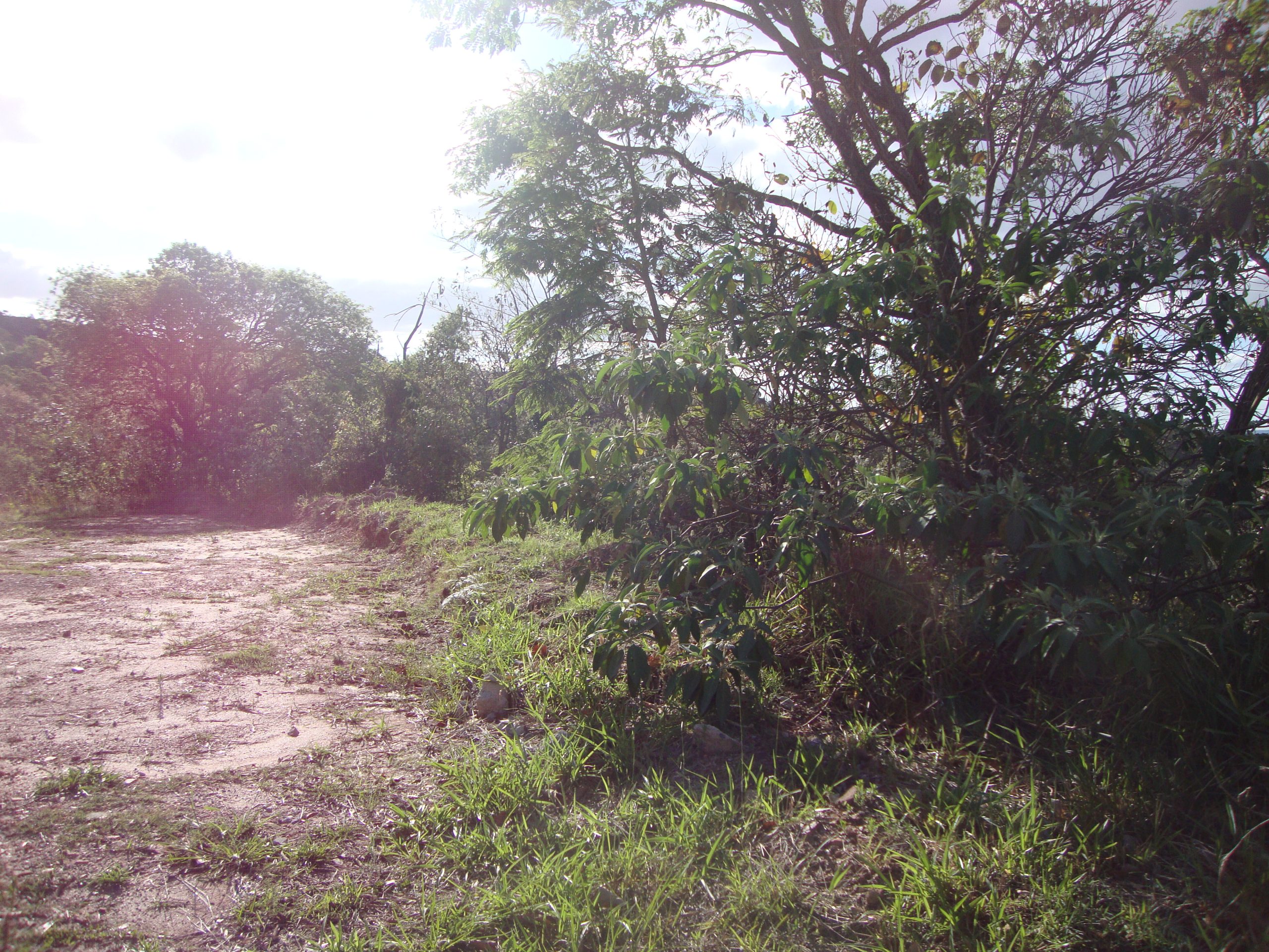 Lote/Associação Melhoramentos Champs privés/campo limpo paulista/sp-cód.9225 - Imagem 3