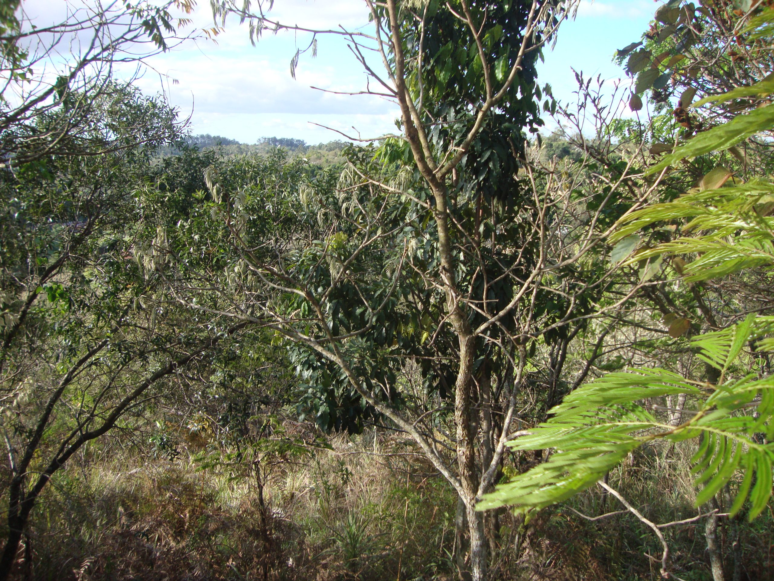 Lote/Associação Melhoramentos Champs privés/campo limpo paulista/sp-cód.9225 - Imagem 4