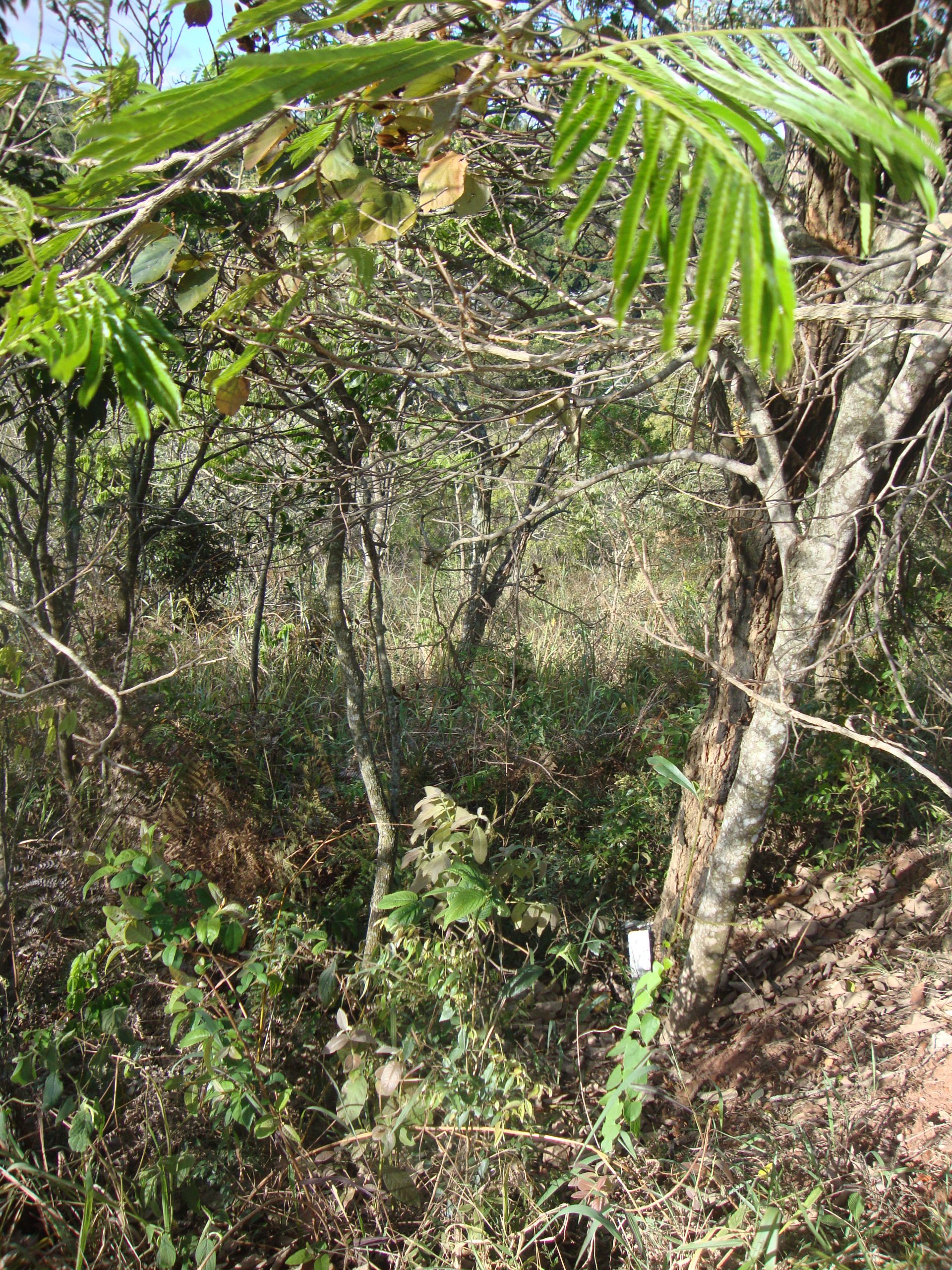 Lote/Associação Melhoramentos Champs privés/campo limpo paulista/sp-cód.9225 - Imagem 5