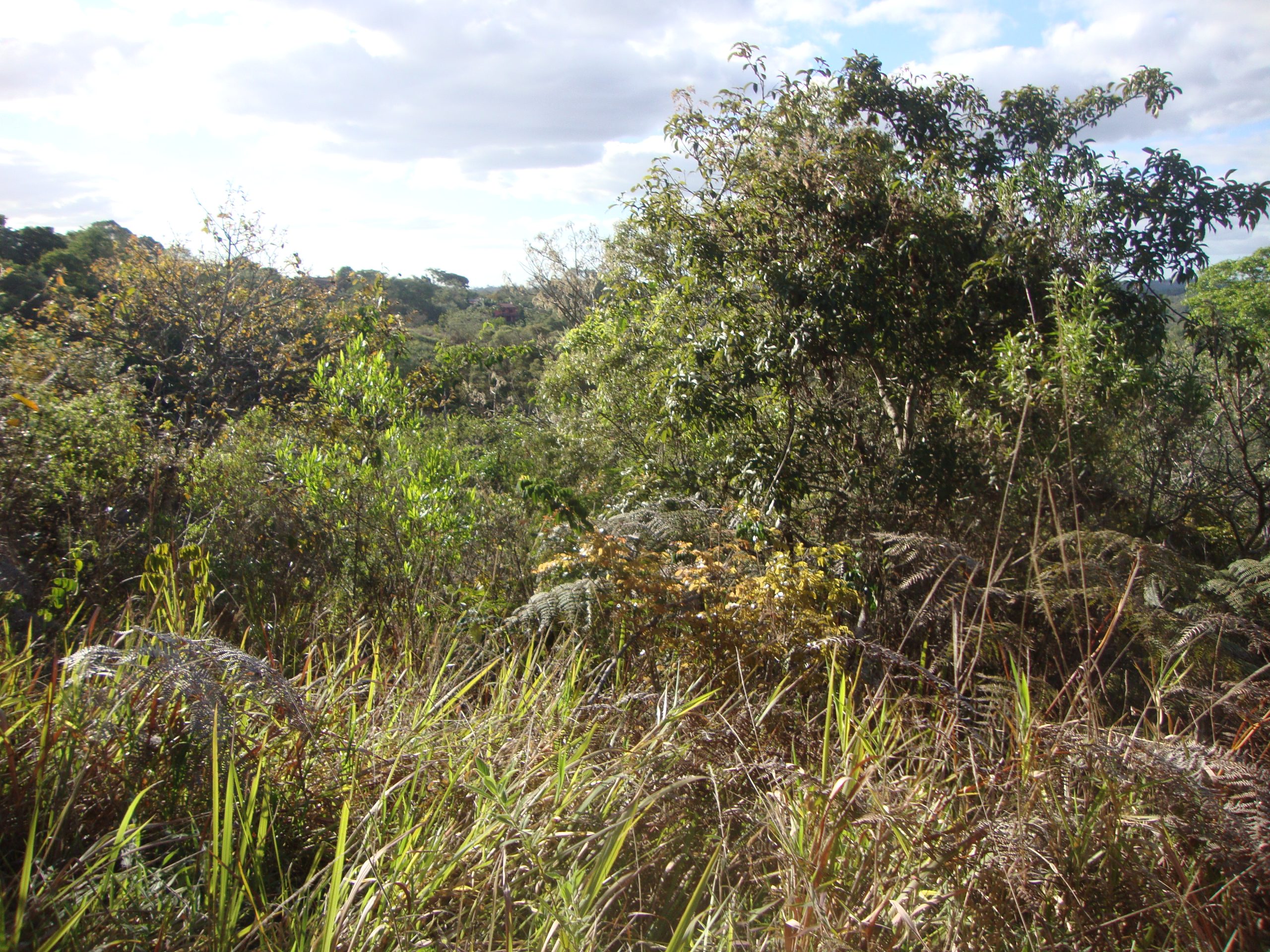 Lote/Associação Melhoramentos Champs privés/campo limpo paulista/sp-cód.9225 - Imagem 6