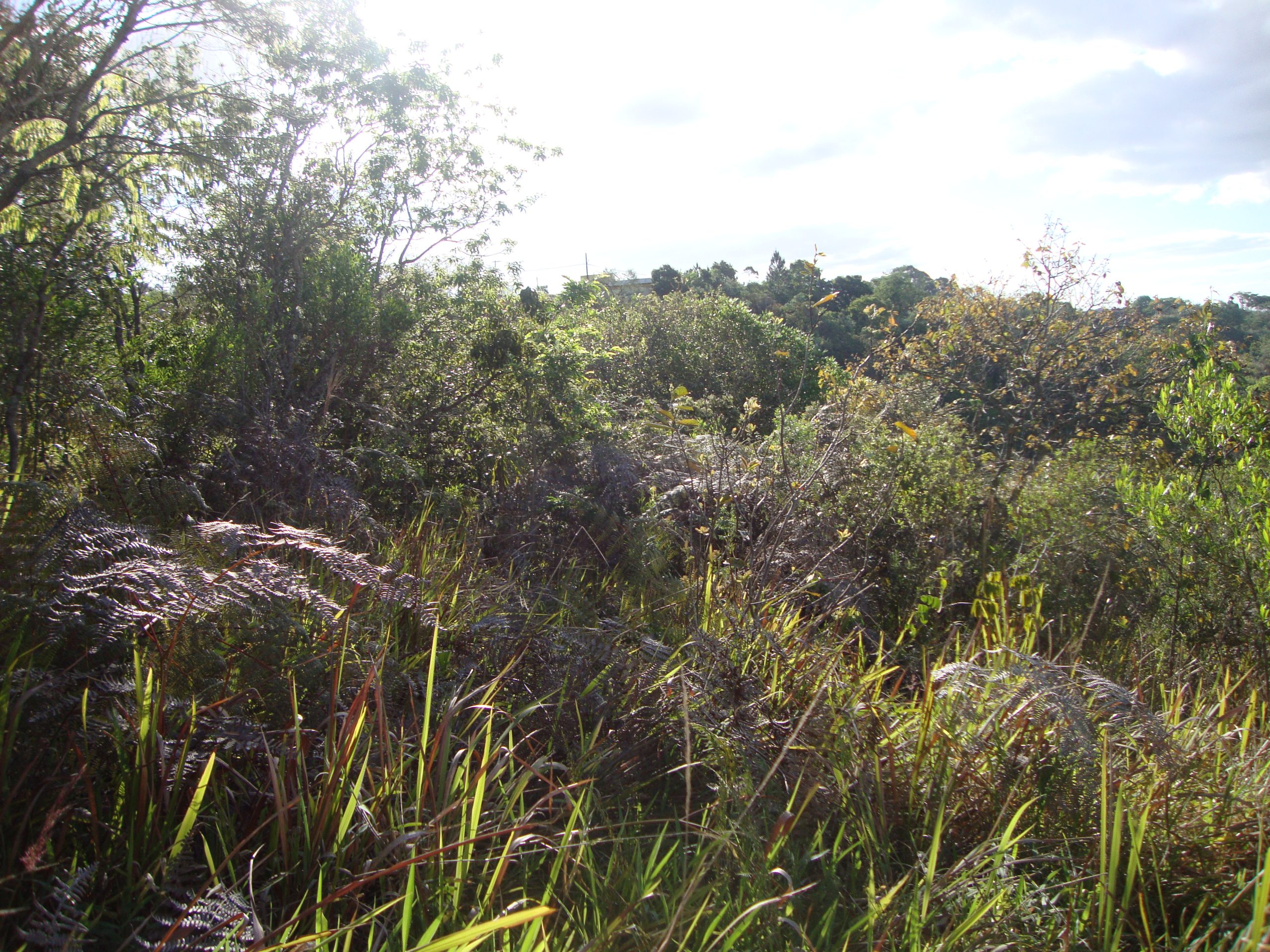 Lote/Associação Melhoramentos Champs privés/campo limpo paulista/sp-cód.9225 - Imagem 7