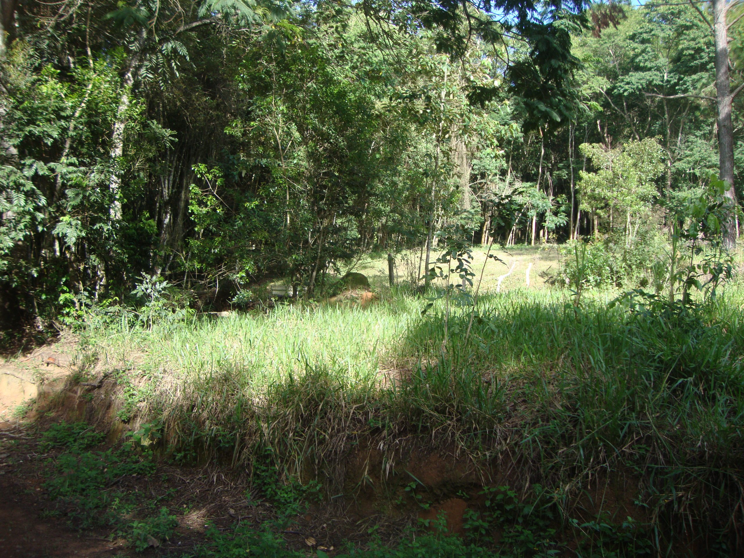 chacara sem benfeirorias/financia caixa/campo limpo paulista,sp/condominio serra morena:cod.4559 - Imagem 18