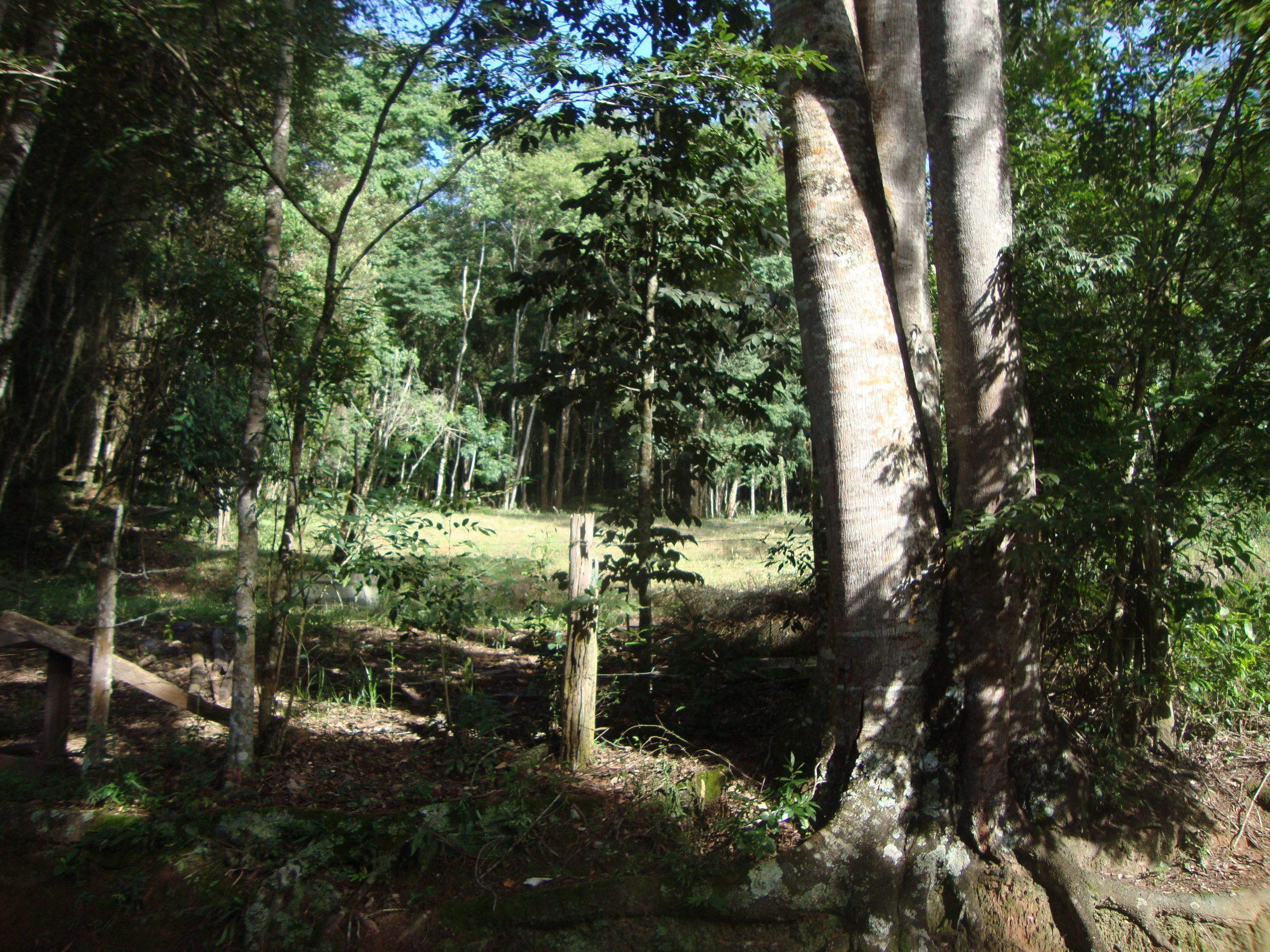 chacara sem benfeirorias/financia caixa/campo limpo paulista,sp/condominio serra morena:cod.4559 - Imagem 15