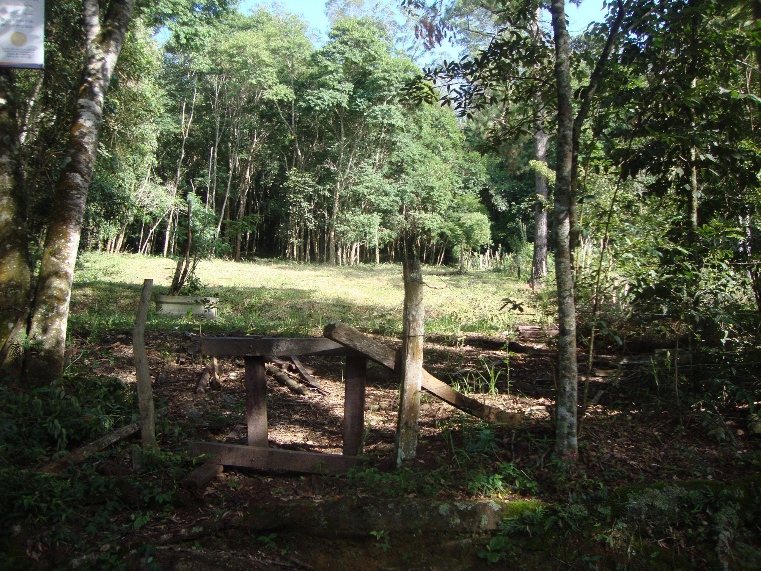 chacara sem benfeirorias/financia caixa/campo limpo paulista,sp/condominio serra morena:cod.4559 - Imagem 14