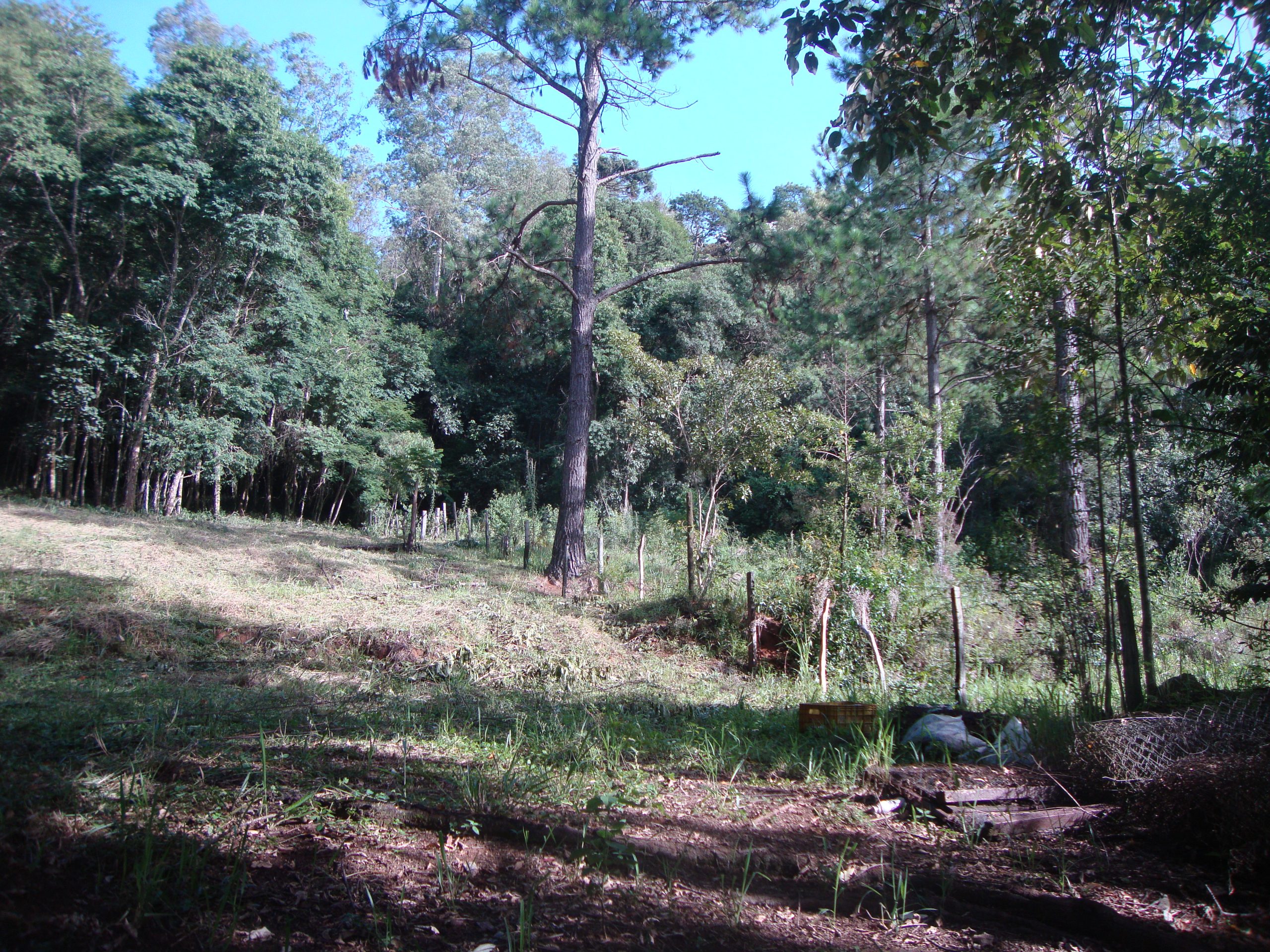chacara sem benfeirorias/financia caixa/campo limpo paulista,sp/condominio serra morena:cod.4559 - Imagem 13