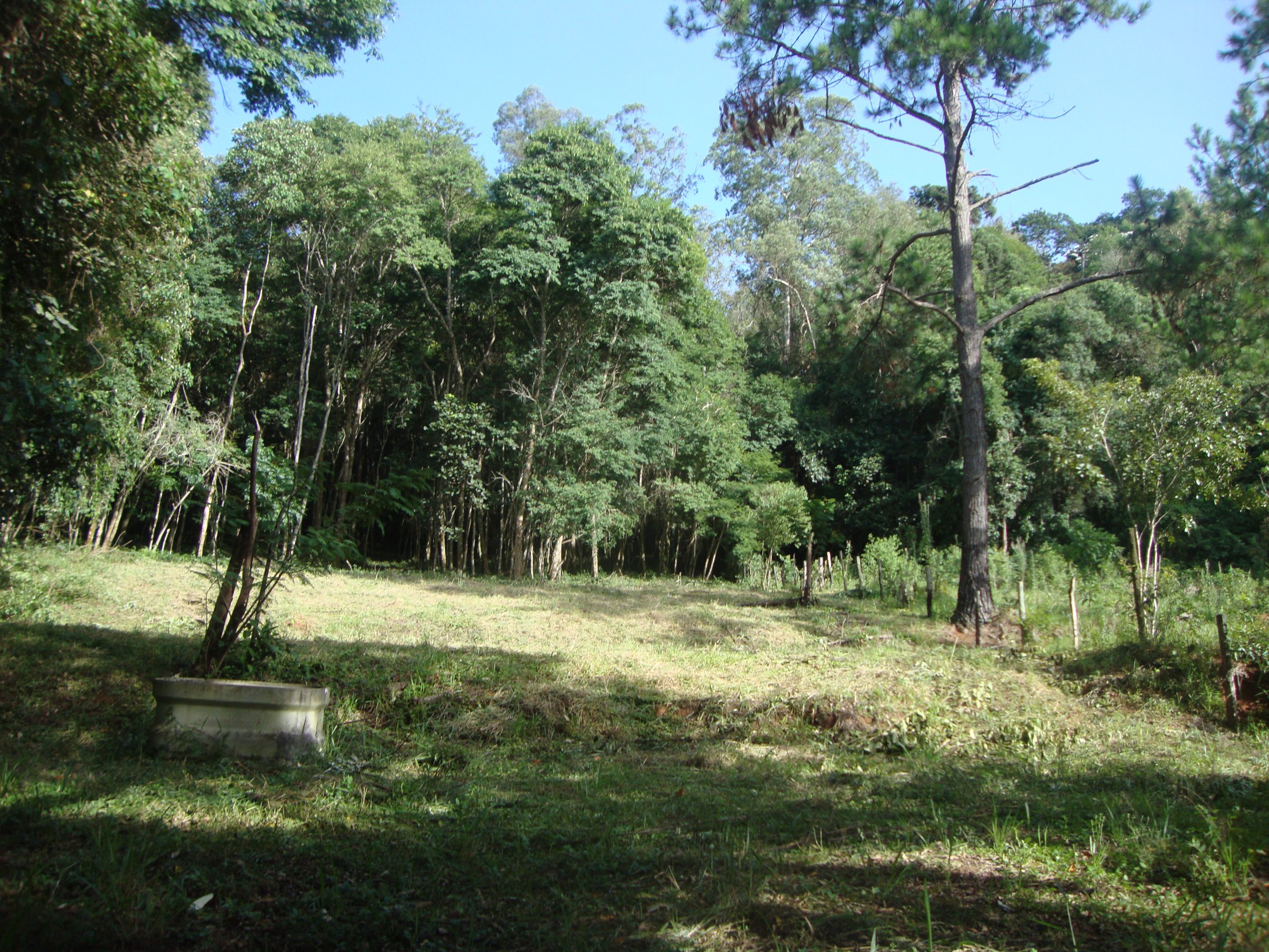 chacara sem benfeirorias/financia caixa/campo limpo paulista,sp/condominio serra morena:cod.4559 - Imagem 12