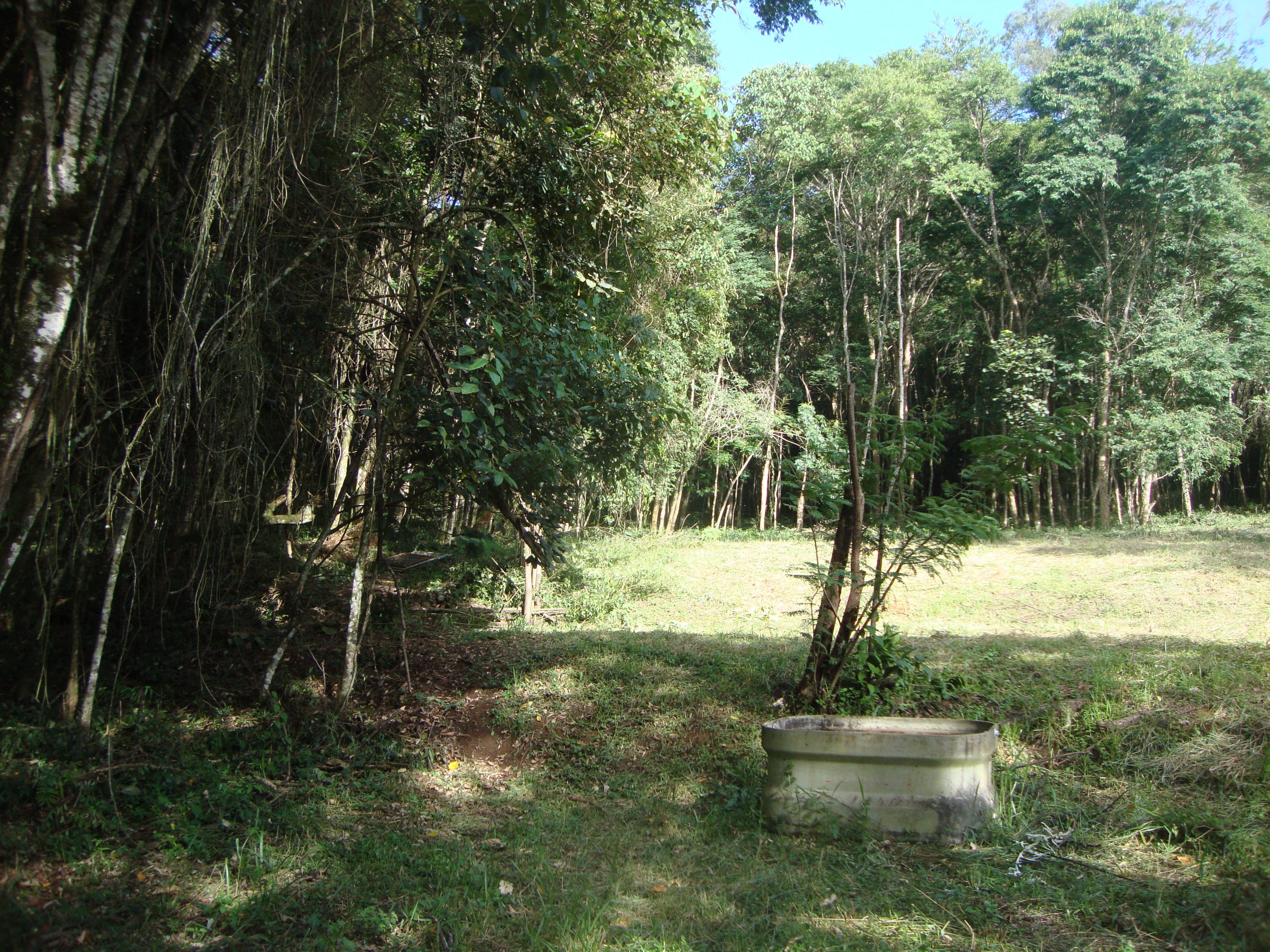 chacara sem benfeirorias/financia caixa/campo limpo paulista,sp/condominio serra morena:cod.4559 - Imagem 9