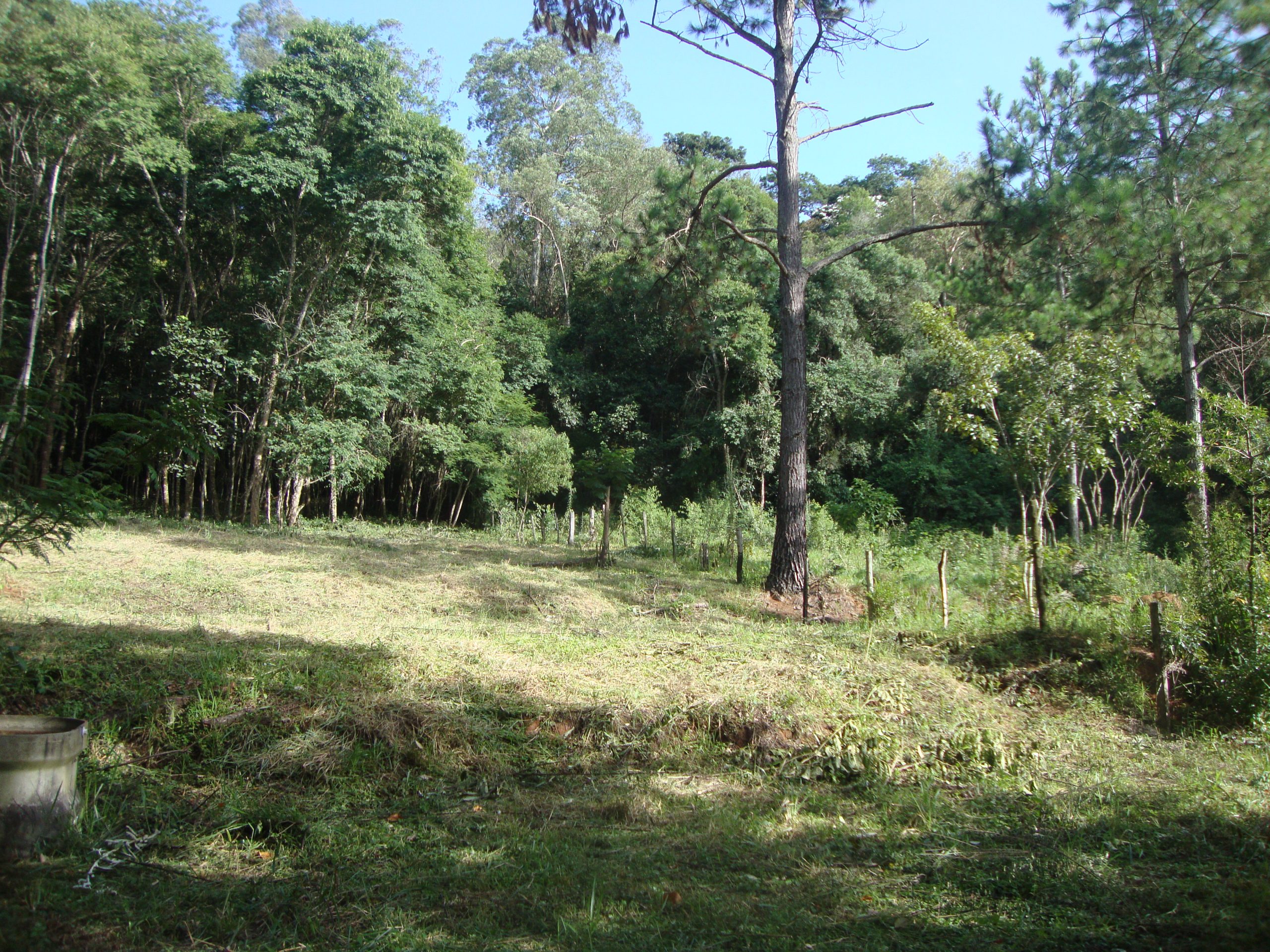 chacara sem benfeirorias/financia caixa/campo limpo paulista,sp/condominio serra morena:cod.4559 - Imagem 8