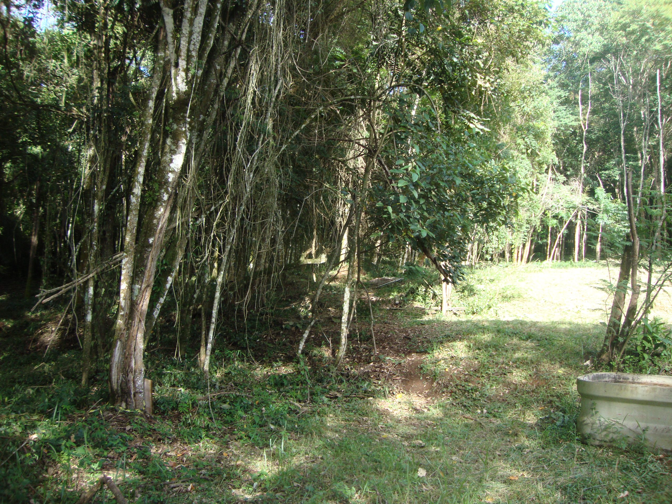 chacara sem benfeirorias/financia caixa/campo limpo paulista,sp/condominio serra morena:cod.4559 - Imagem 7