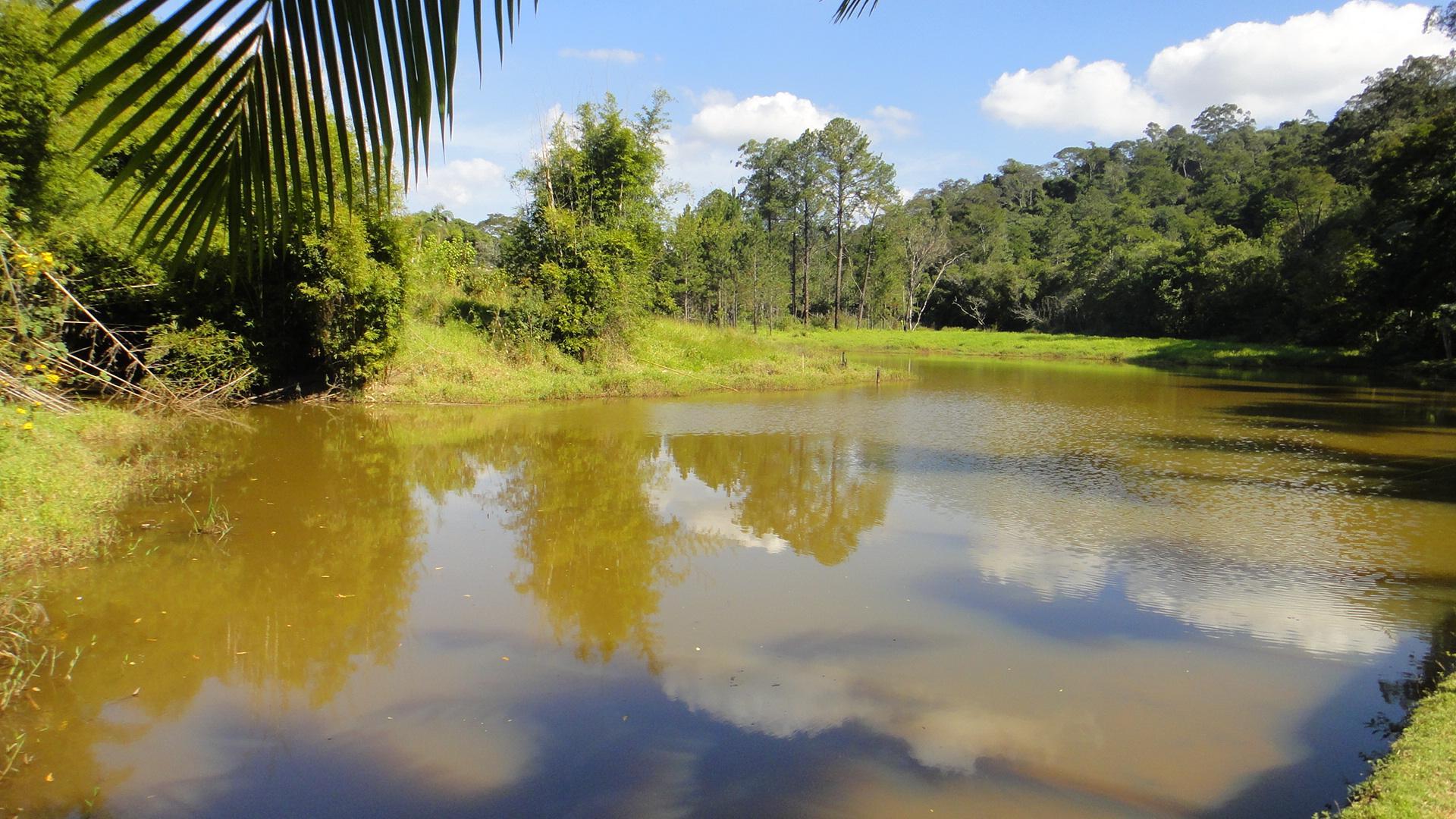 chacara sem benfeirorias/financia caixa/campo limpo paulista,sp/condominio serra morena:cod.4559 - Imagem 5