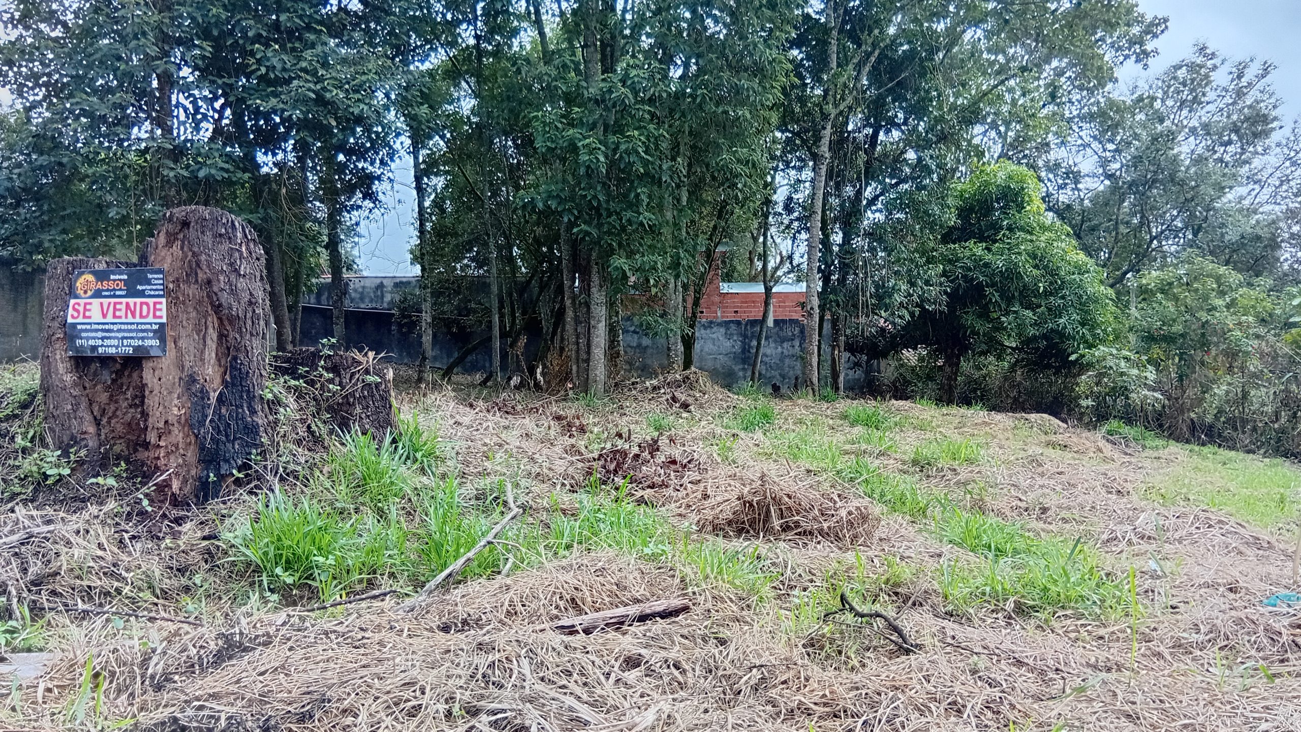 chacara sem benfeirorias/area plana/finacia caixa/bairro>nova germania/campo paulista-sp:5346