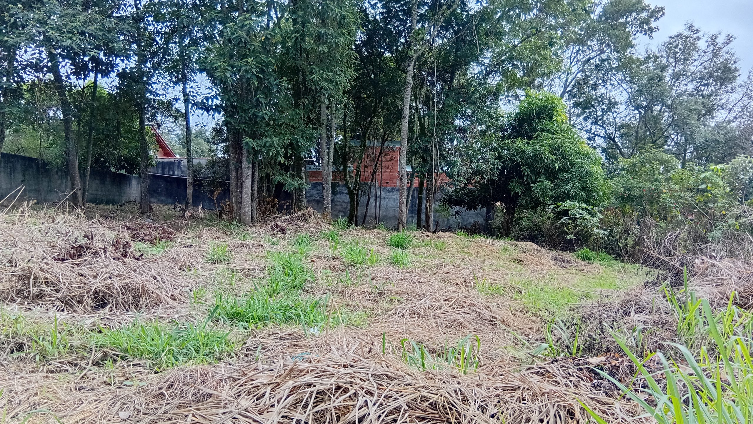 chacara sem benfeirorias/area plana/finacia caixa/bairro>nova germania/campo paulista-sp:5346 - Imagem 10